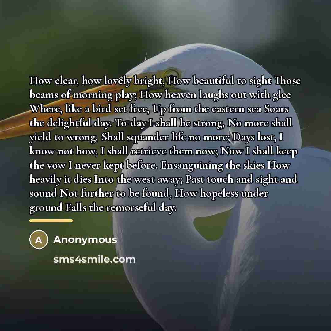 “How clear, how lovely bright, How beautiful to sight Those…” quote by Anonymous