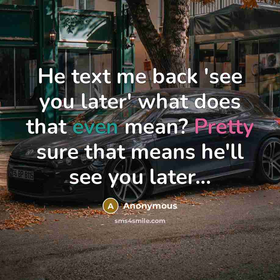 “He text me back 'see you later' what does that even mean? Pretty sure that means he'll see you later...” quote by Anonymous