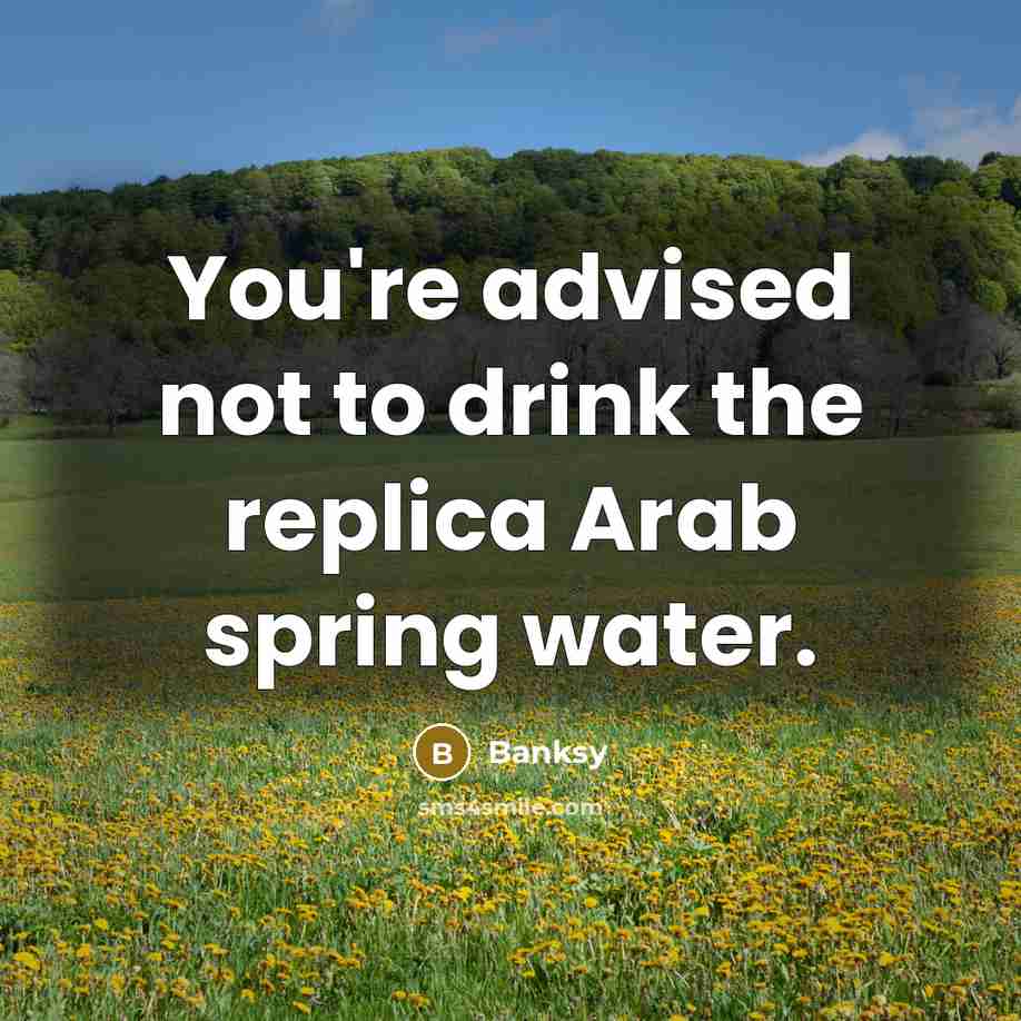 “You're advised not to drink the replica Arab spring water.…” quote by Banksy