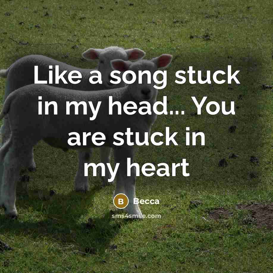 “Like a song stuck in my head... You are stuck…” quote by Becca