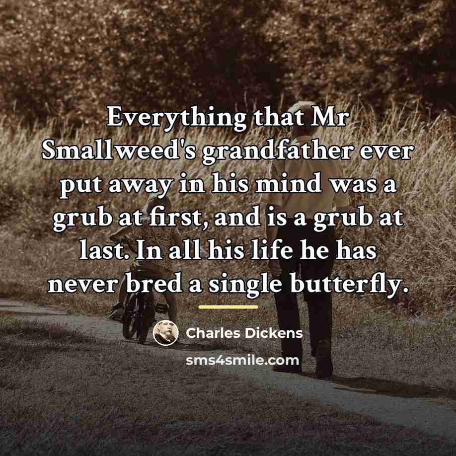 “Everything that Mr Smallweed's grandfather ever put away in his…” quote by Charles Dickens