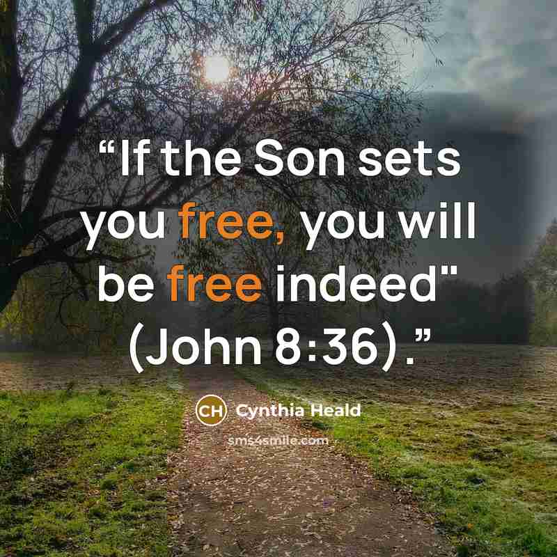 “If the Son sets you free, you will be free indeed" (John 8:36).” quote by Cynthia Heald