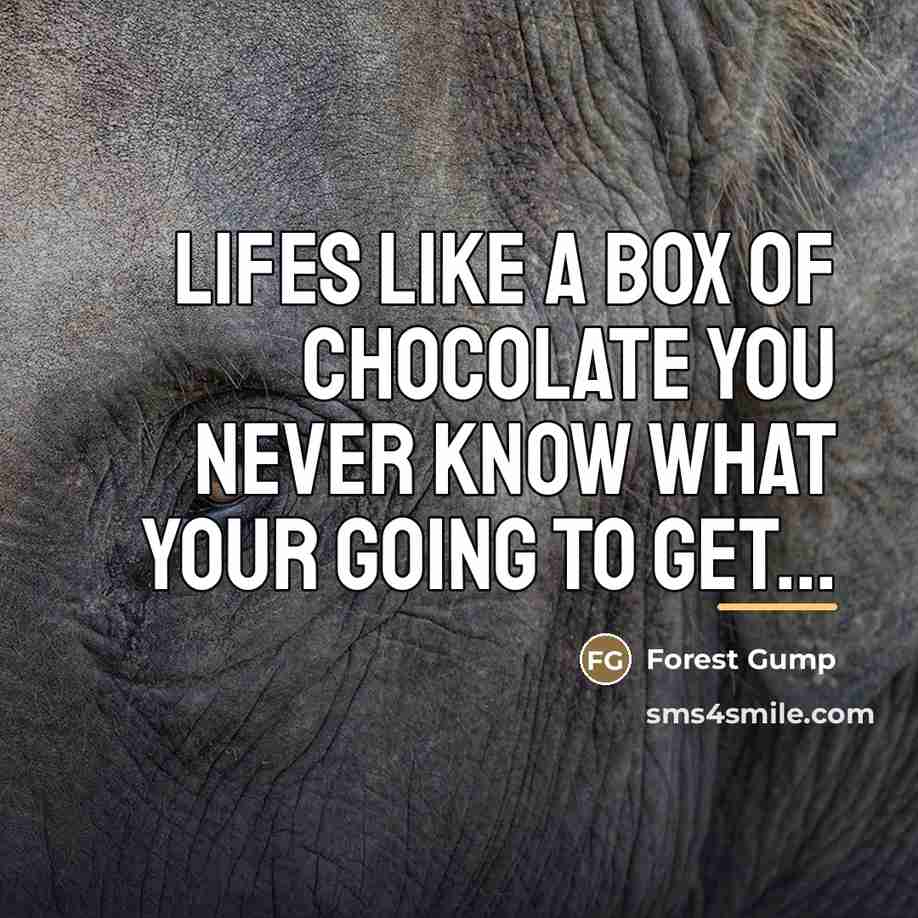 “Lifes Like A Box Of Chocolate You Never Know What…” quote by Forest Gump