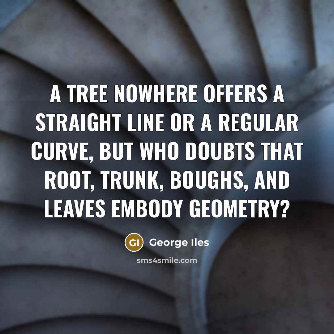 “A tree nowhere offers a straight line or a regular curve, but who doubts that root, trunk, boughs, and leaves embody geometry?” quote by George Iles