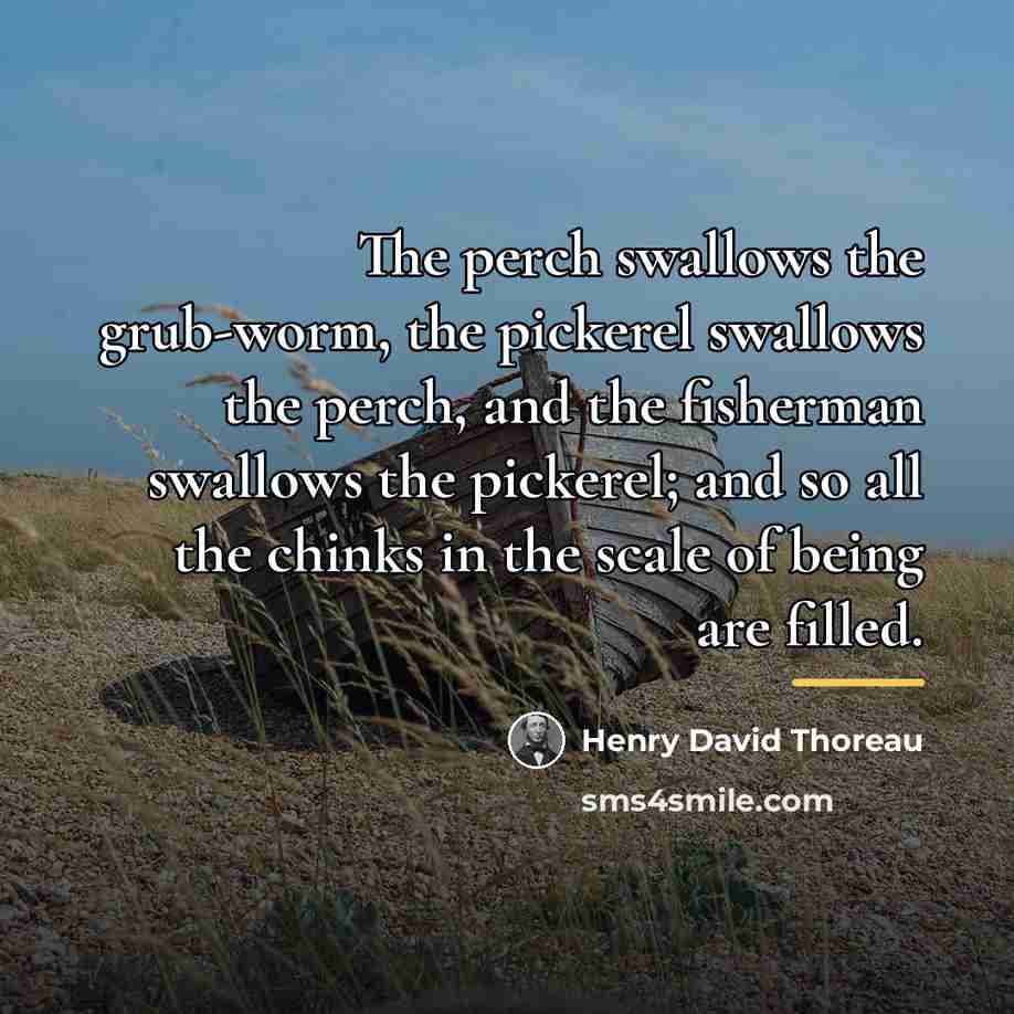 “The perch swallows the grub-worm, the pickerel swallows the perch,…” quote by Henry David Thoreau