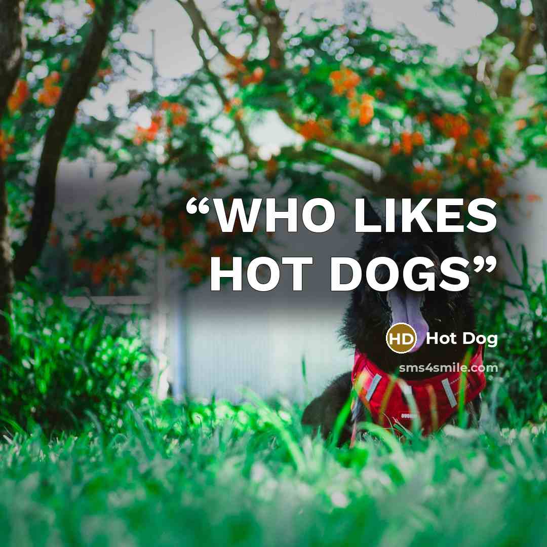 “WHO LIKES HOT DOGS” quote by Hot Dog