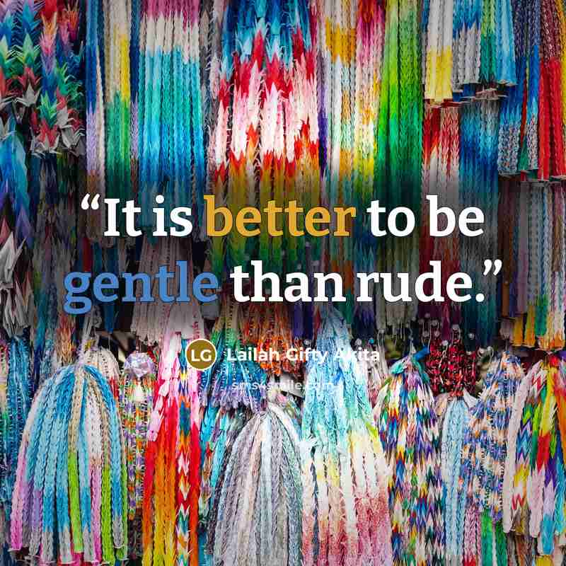 “It is better to be gentle than rude.” quote by Lailah Gifty Akita