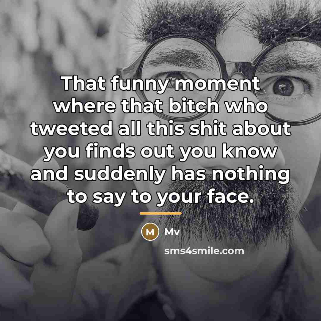 “That funny moment where that bitch who tweeted all this…” quote by Mv