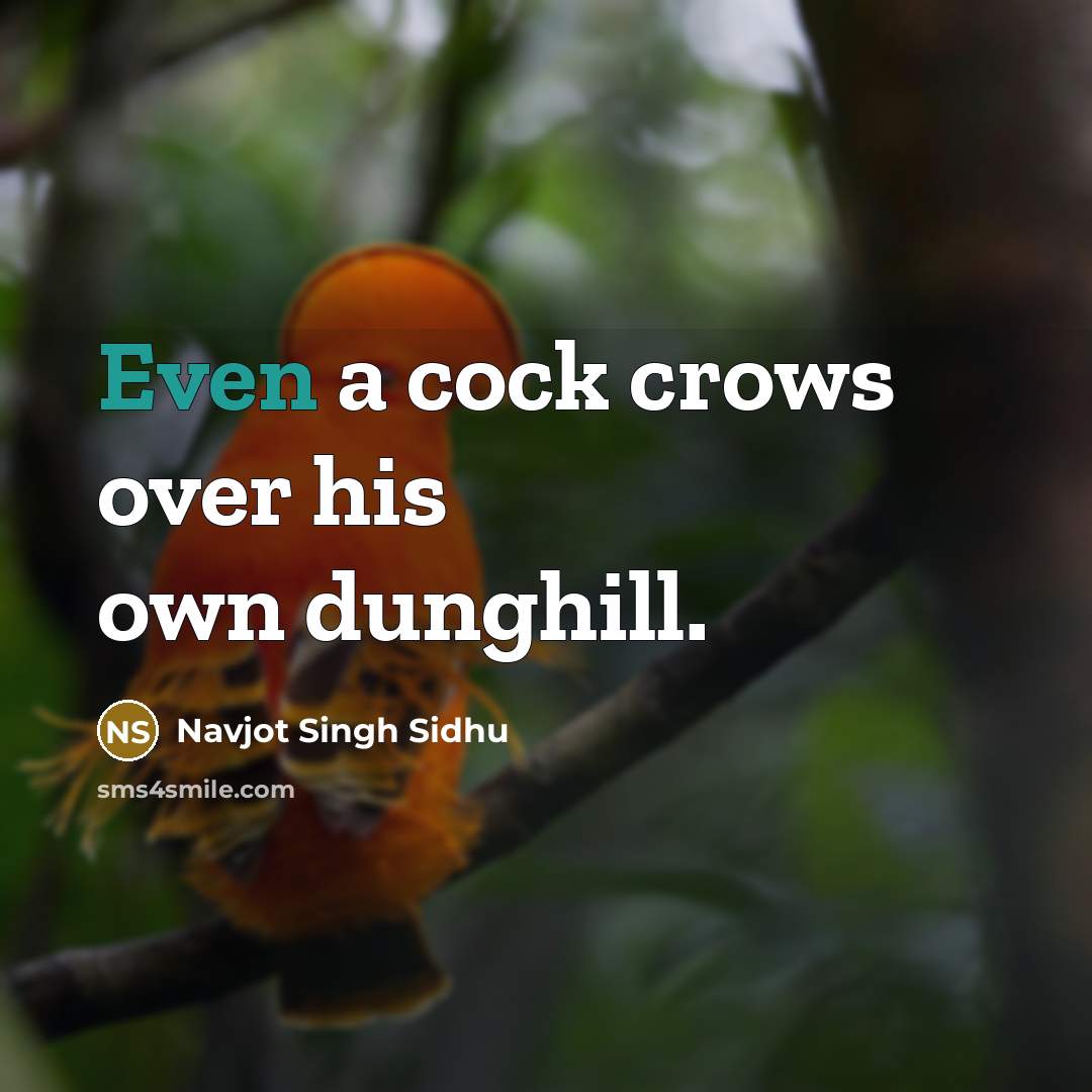 “Even a cock crows over his own dunghill.…” quote by Navjot Singh Sidhu