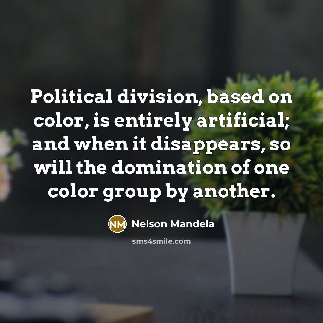 “Political division, based on color, is entirely artificial; and when…” quote by Nelson Mandela
