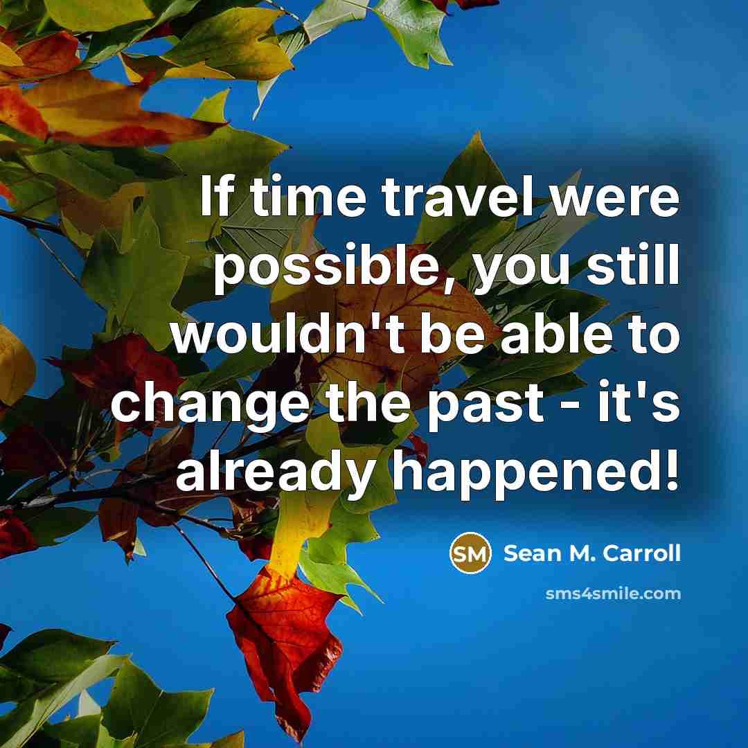 “If time travel were possible, you still wouldn't be able…” quote by Sean M. Carroll