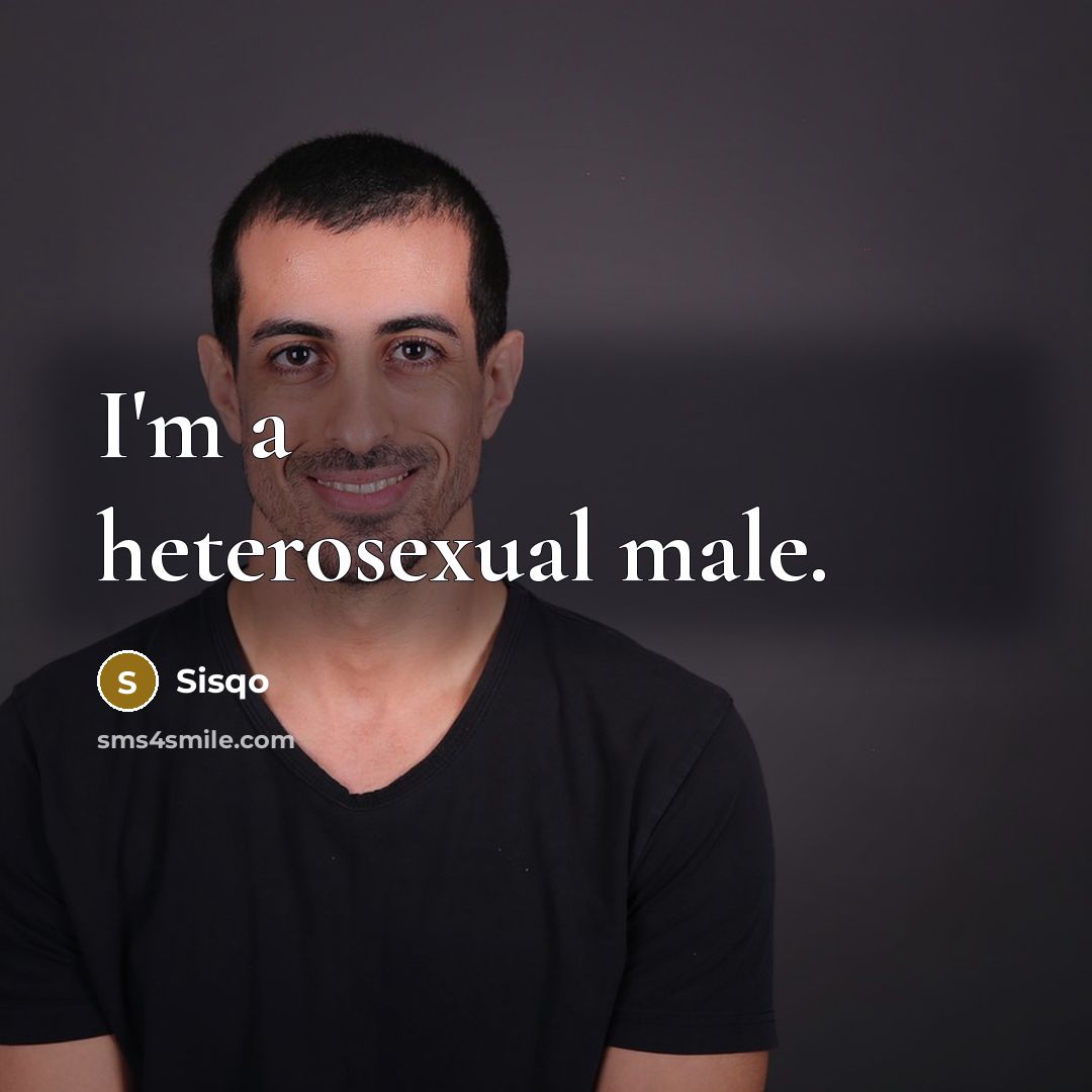 “I'm a heterosexual male.…” quote by Sisqo