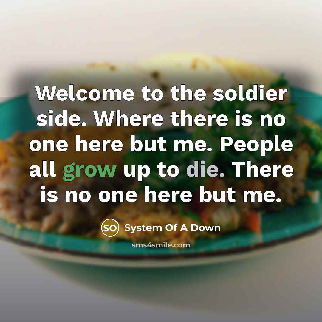 “Welcome to the soldier side. Where there is no one…” quote by System Of A Down