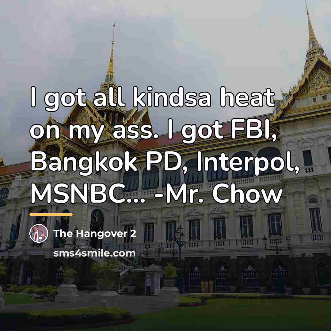 “I got all kindsa heat on my ass. I got…” quote by The Hangover 2