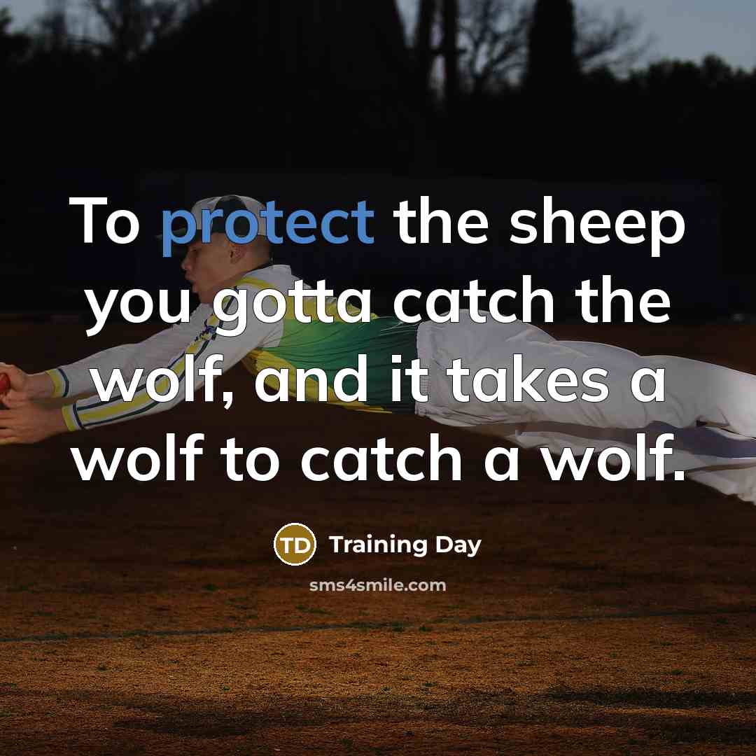 “To protect the sheep you gotta catch the wolf, and it takes a wolf to catch a wolf.” quote by Training Day