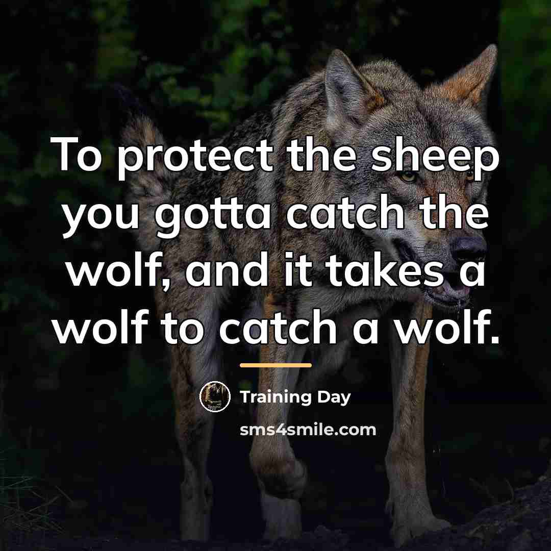 “To protect the sheep you gotta catch the wolf, and…” quote by Training Day