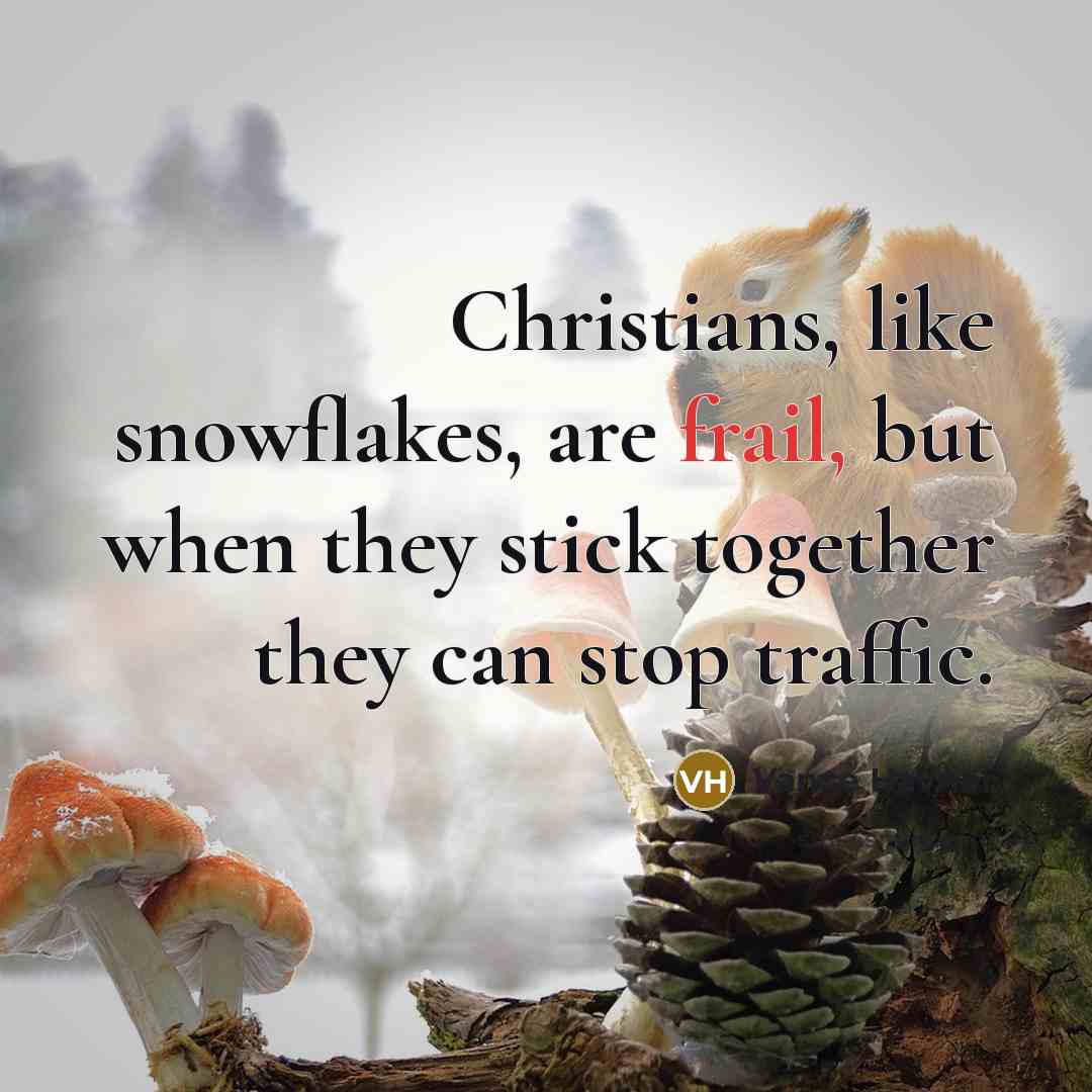 “Christians, like snowflakes, are frail, but when they stick together…” quote by Vance Havner