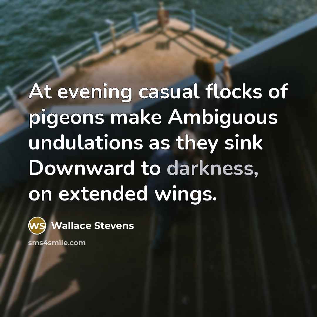 “At evening casual flocks of pigeons make Ambiguous undulations as…” quote by Wallace Stevens