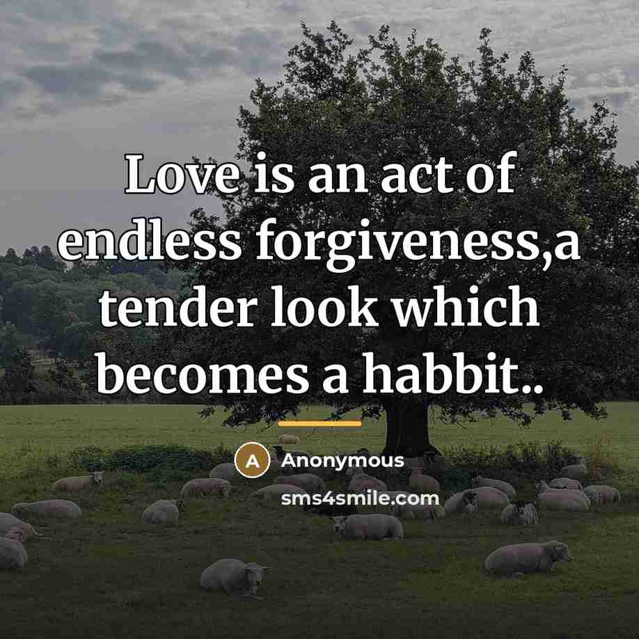 “Love is an act of endless forgiveness,a tender look which…” quote by Anonymous