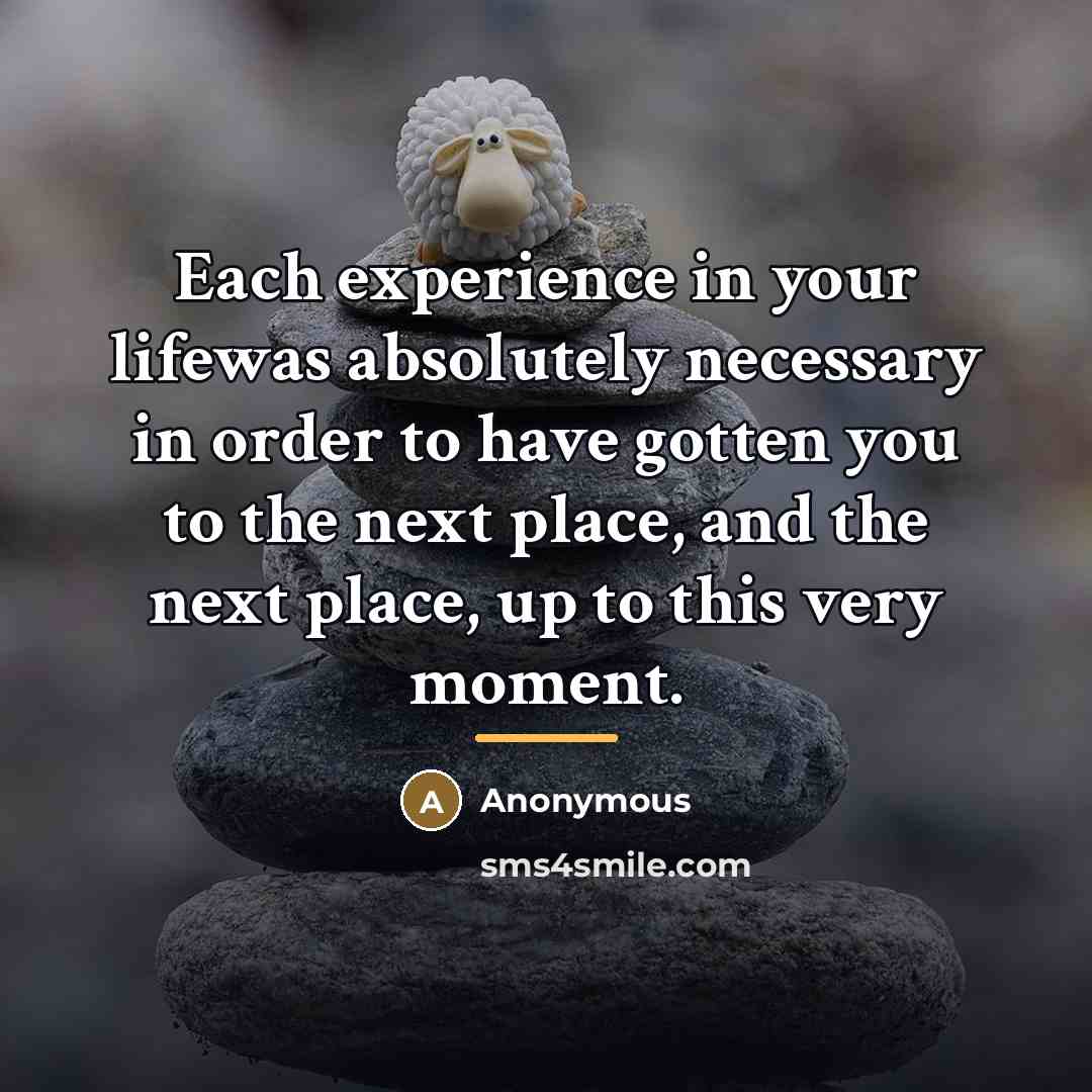 “Each experience in your lifewas absolutely necessary in order to…” quote by Anonymous