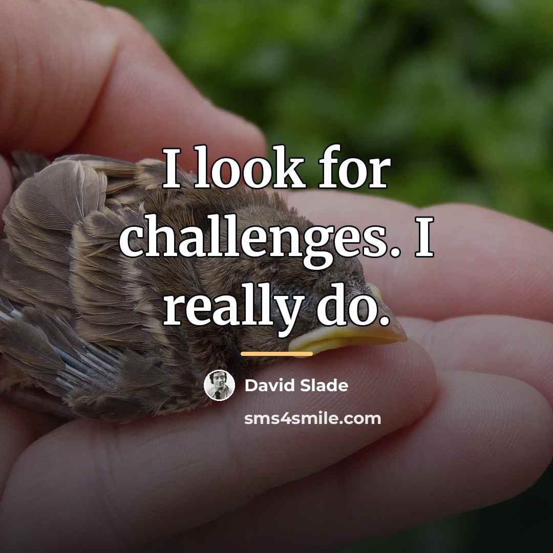 “I look for challenges. I really do.…” quote by David Slade