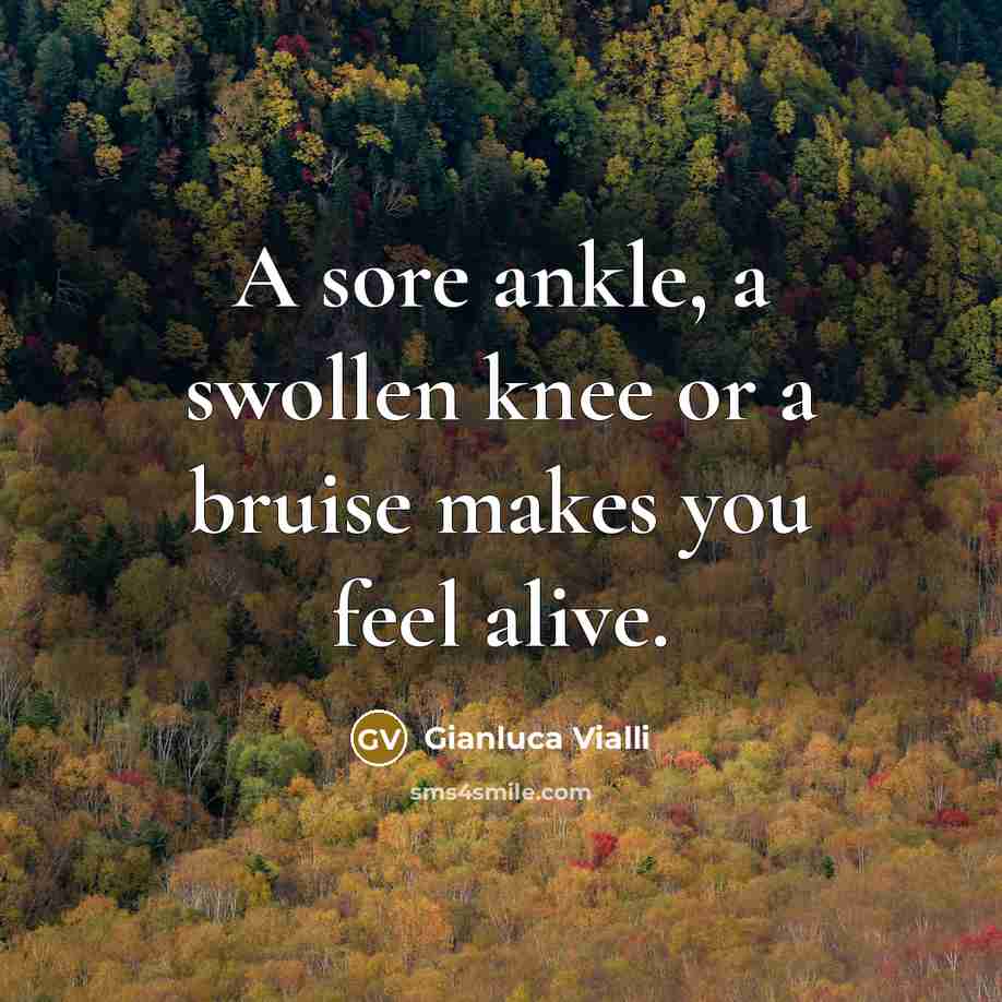 “A sore ankle, a swollen knee or a bruise makes…” quote by Gianluca Vialli