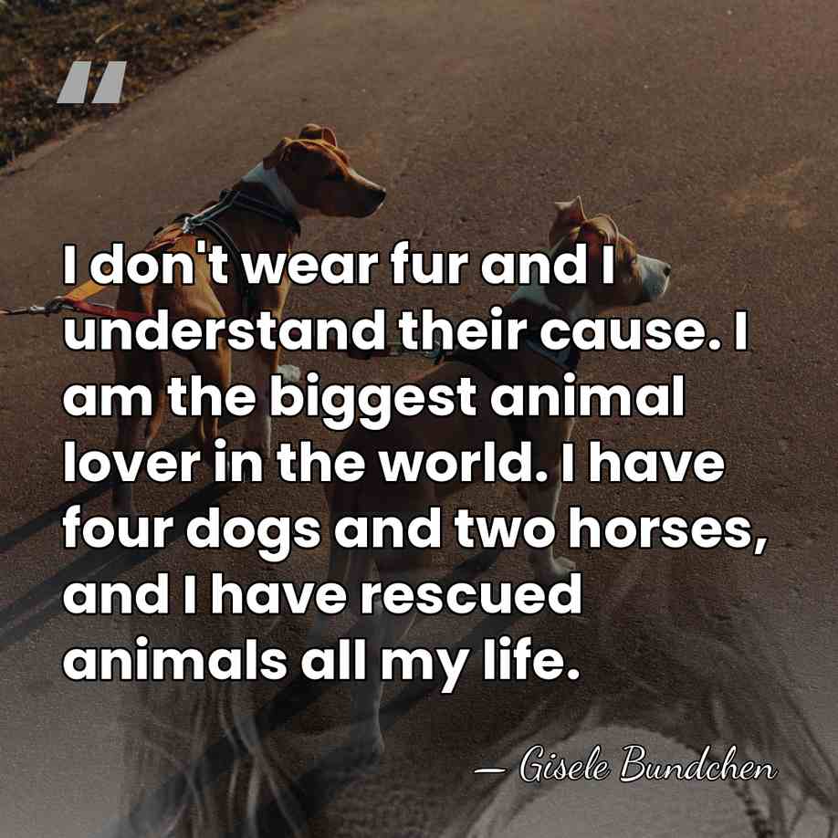 I don't wear fur and I understand their cause. I am the&hellip; - Gisele Bundchen