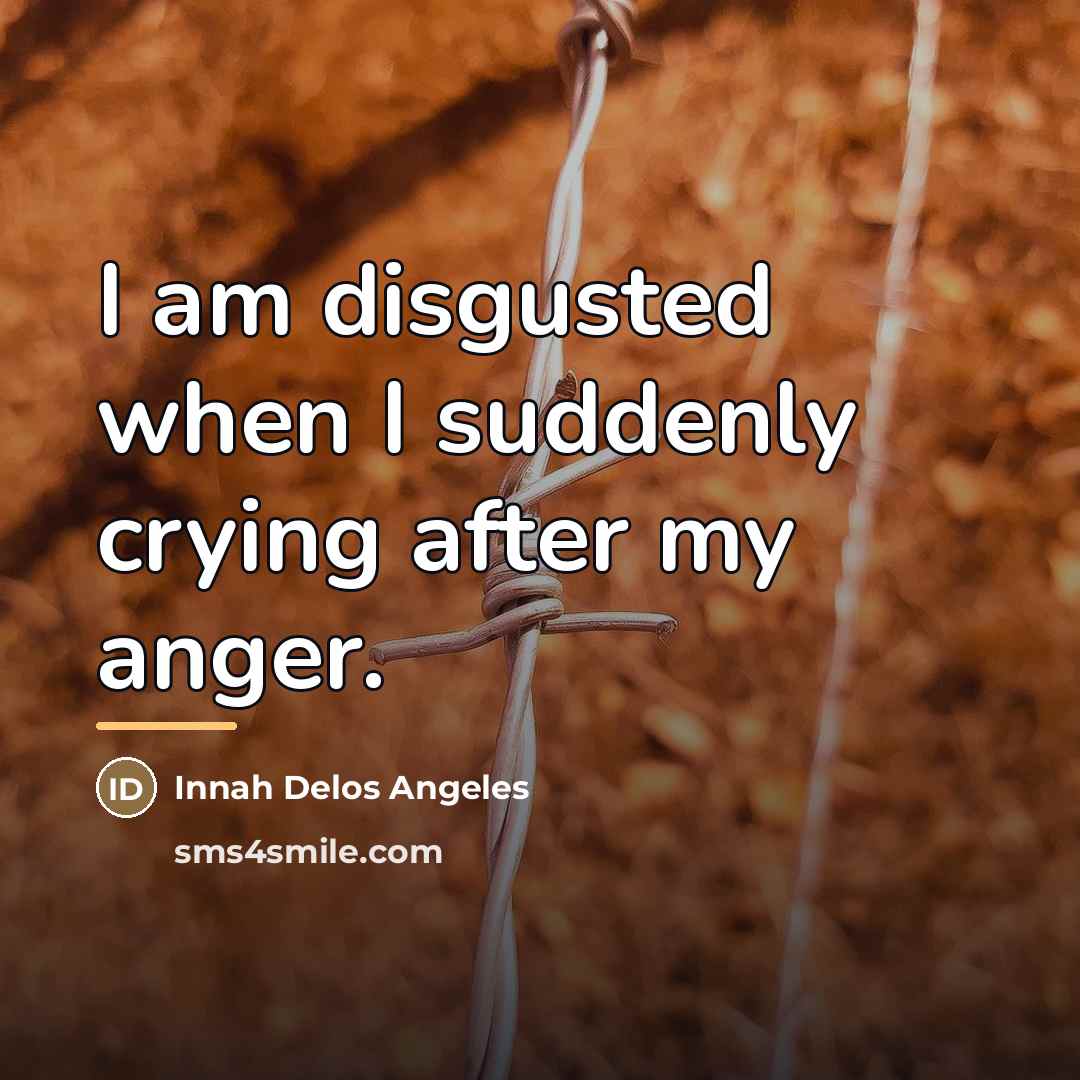 “I am disgusted when I suddenly crying after my anger.…” quote by Innah Delos Angeles