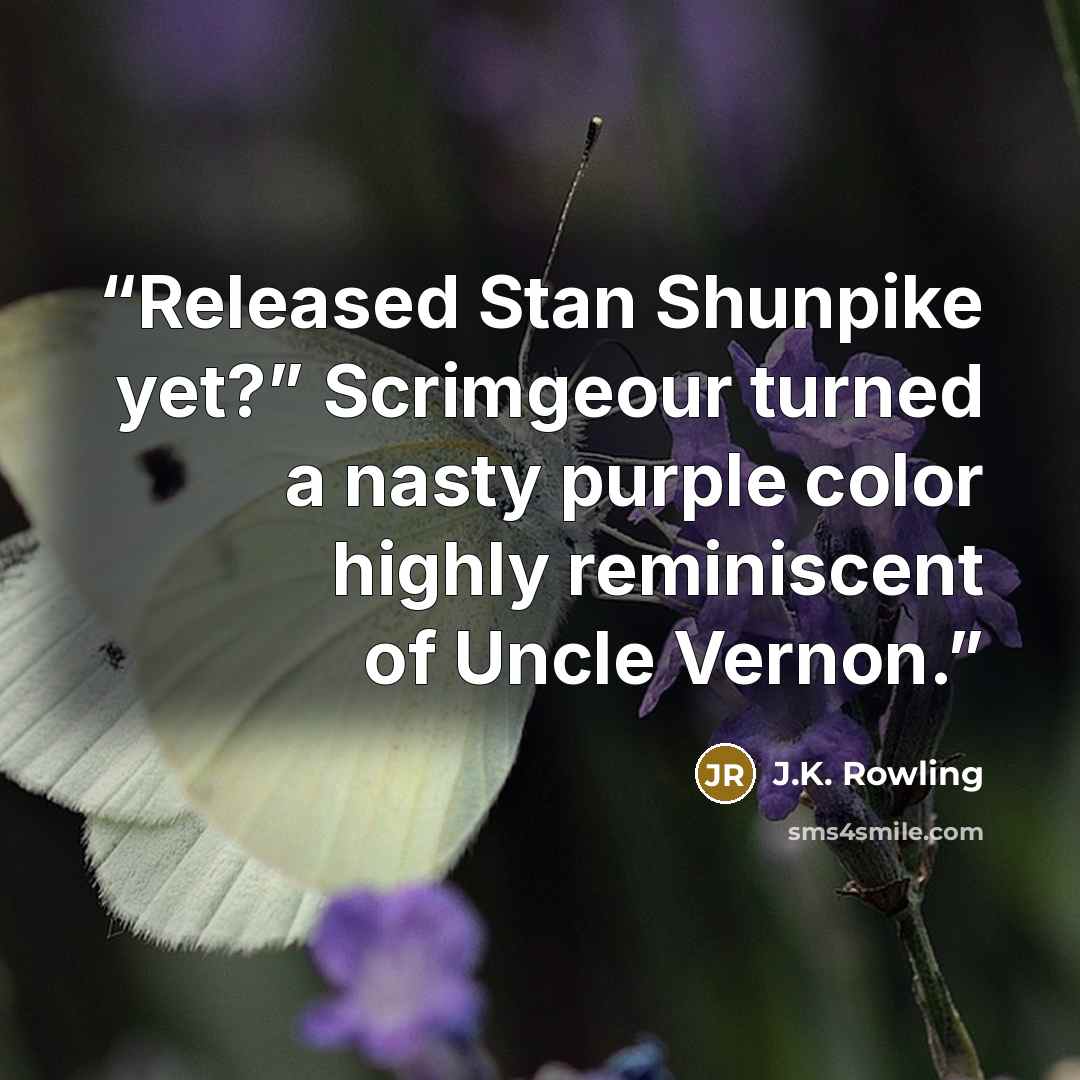 “Released Stan Shunpike yet?” Scrimgeour turned a nasty purple color highly reminiscent of Uncle Vernon.” quote by J.K. Rowling