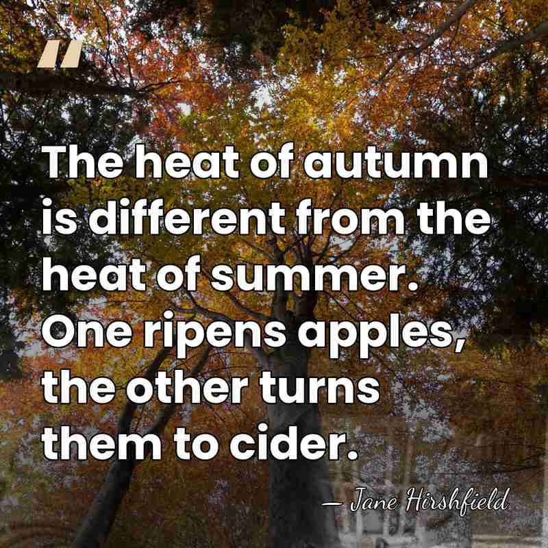The heat of autumn is different from the heat of summer. One&hellip; - Jane Hirshfield