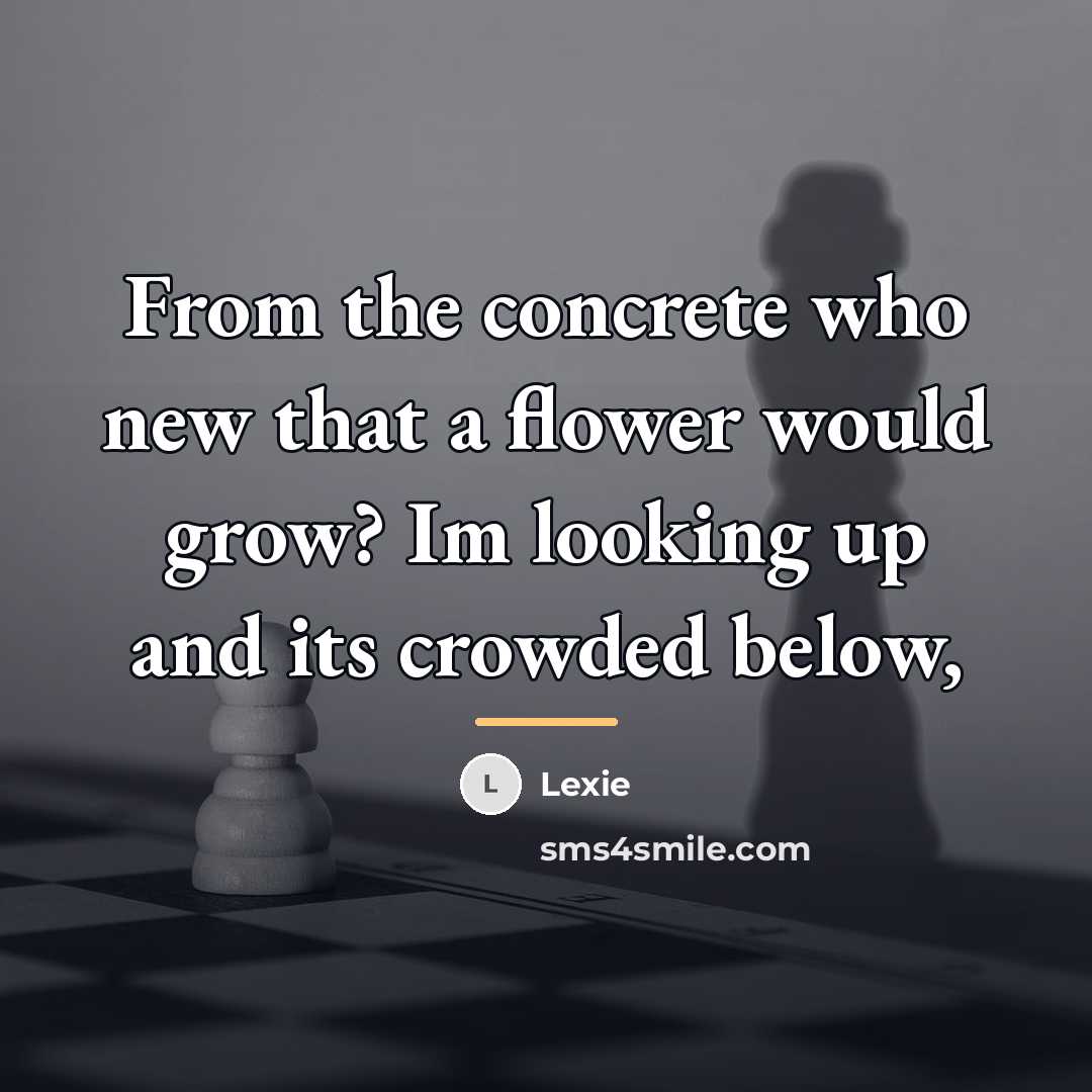“From the concrete who new that a flower would grow?…” quote by Lexie