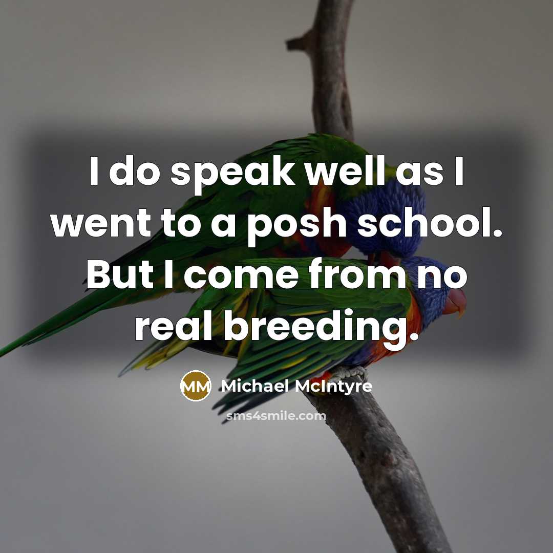“I do speak well as I went to a posh…” quote by Michael McIntyre