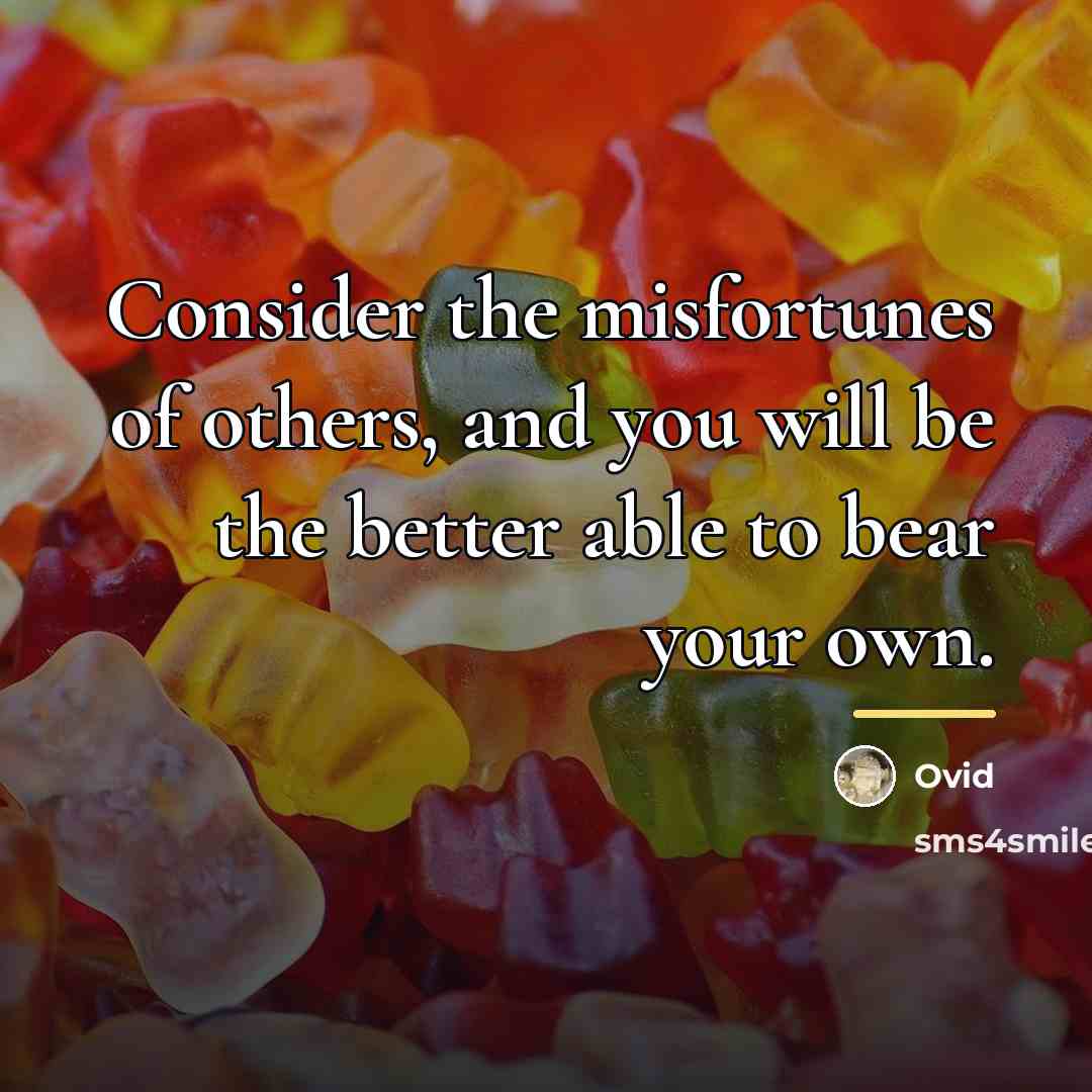 “Consider the misfortunes of others, and you will be the…” quote by Ovid