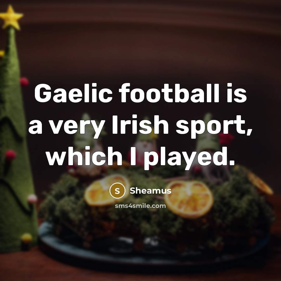 “Gaelic football is a very Irish sport, which I played.…” quote by Sheamus