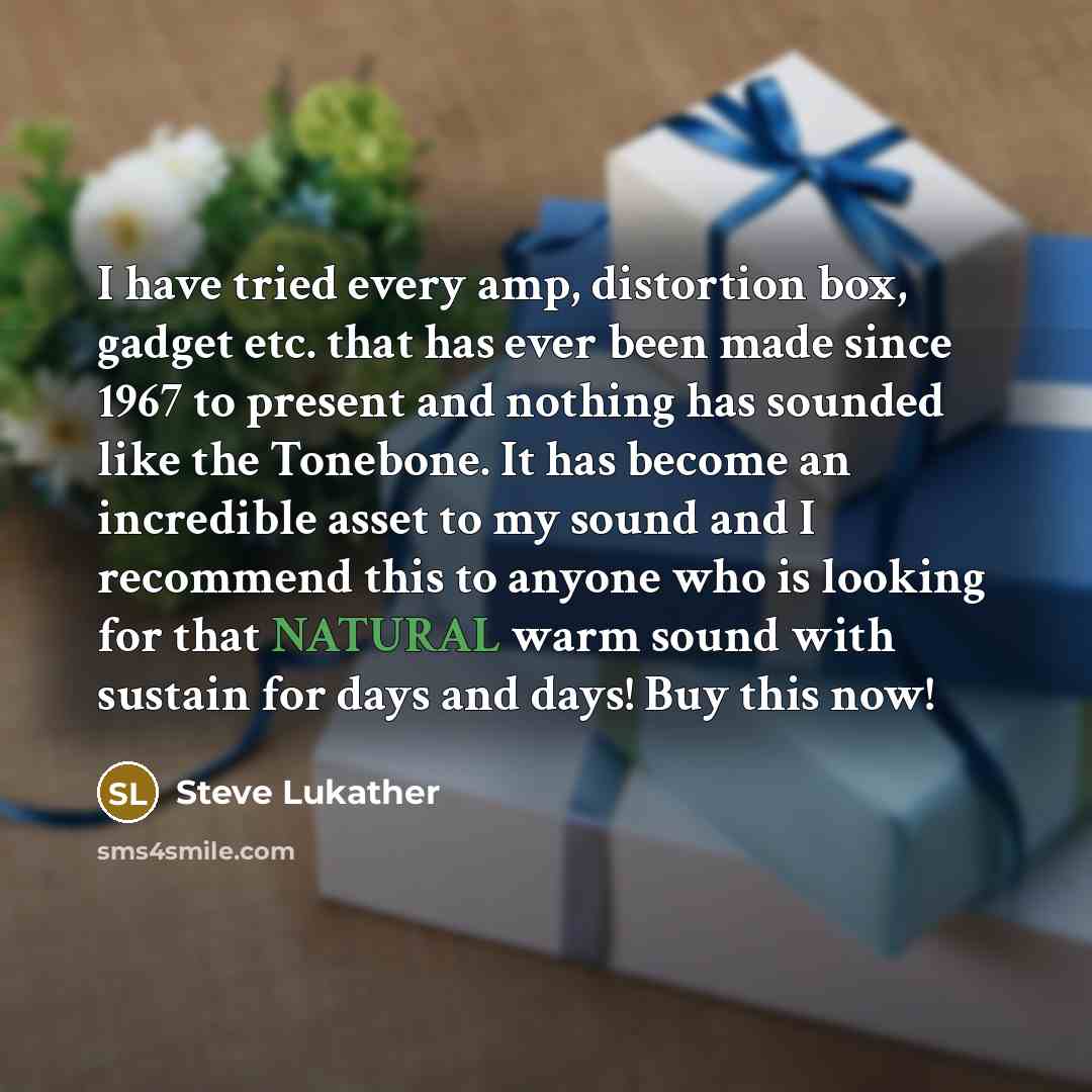 “I have tried every amp, distortion box, gadget etc. that…” quote by Steve Lukather