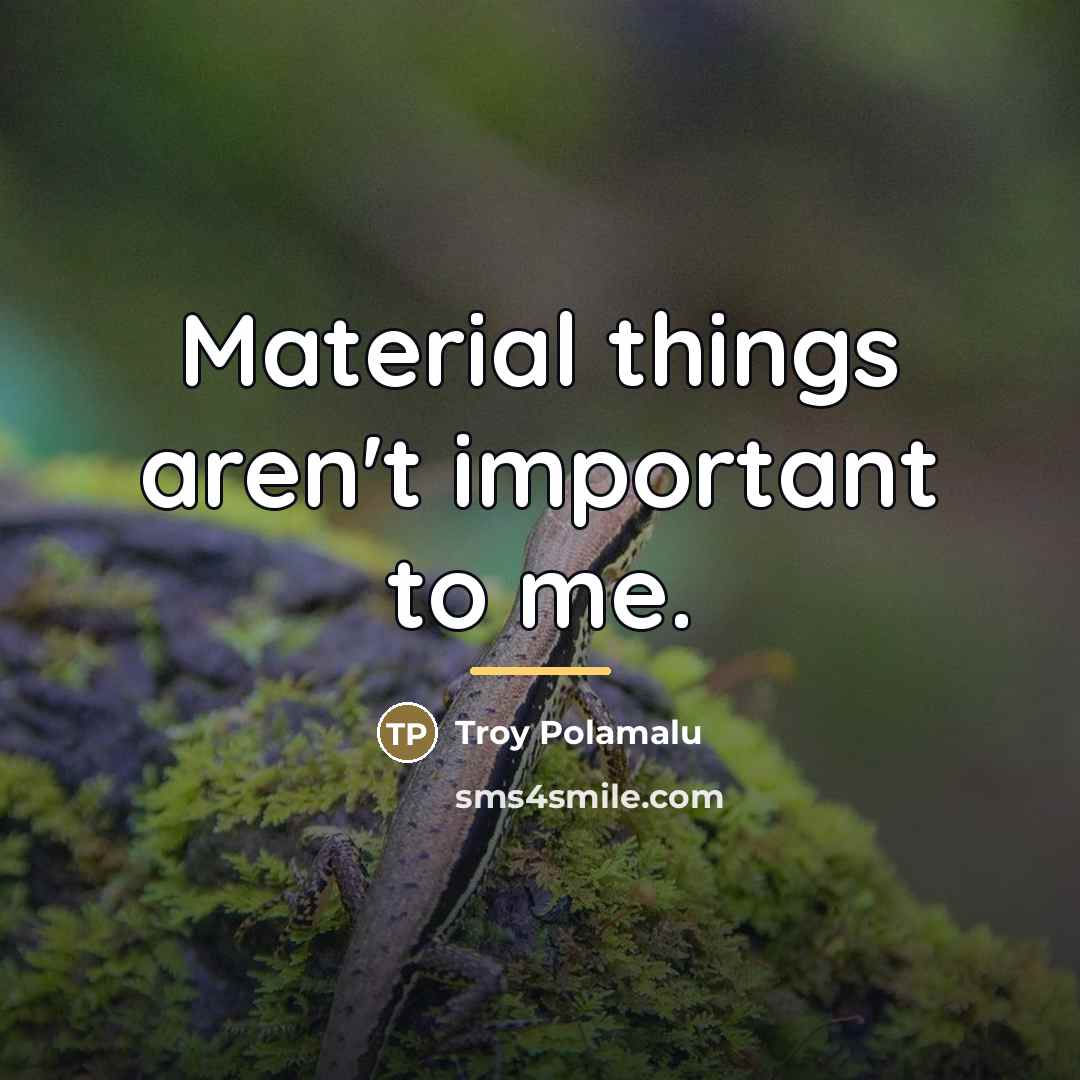 “Material things aren't important to me.…” quote by Troy Polamalu