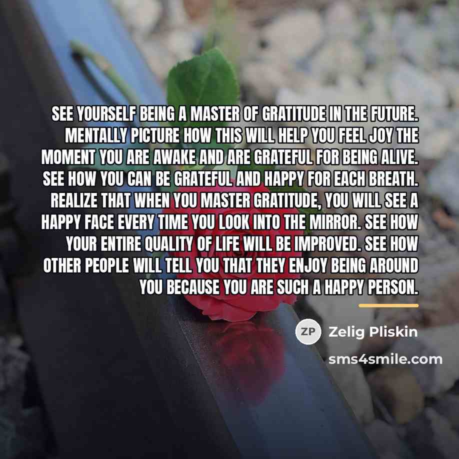 “See yourself being a master of gratitude in the future.…” quote by Zelig Pliskin
