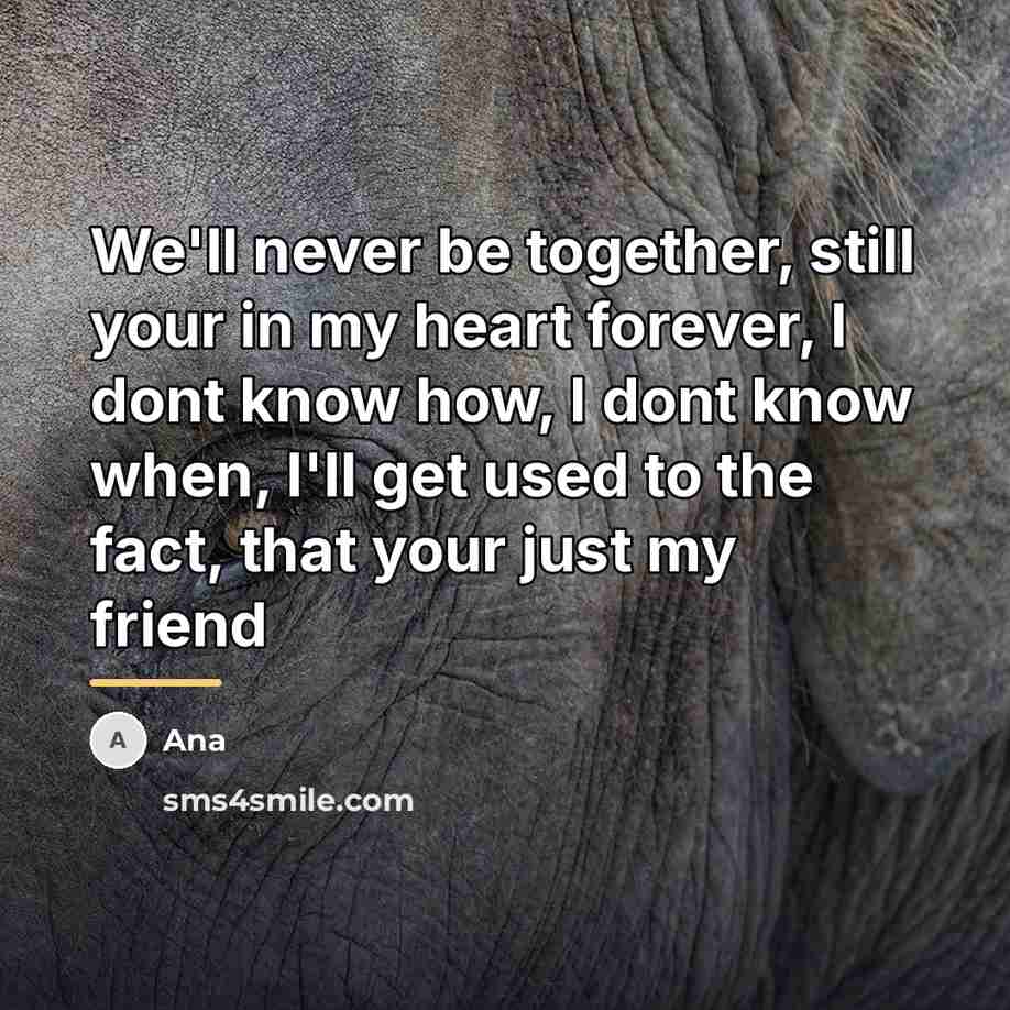 “We'll never be together, still your in my heart forever,…” quote by Ana