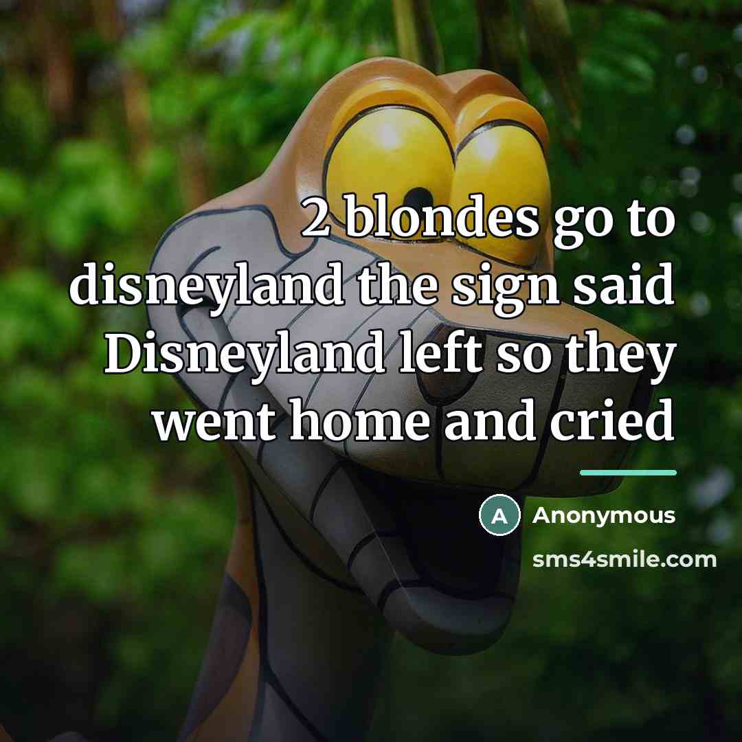 “2 blondes go to disneyland the sign said Disneyland left…” quote by Anonymous