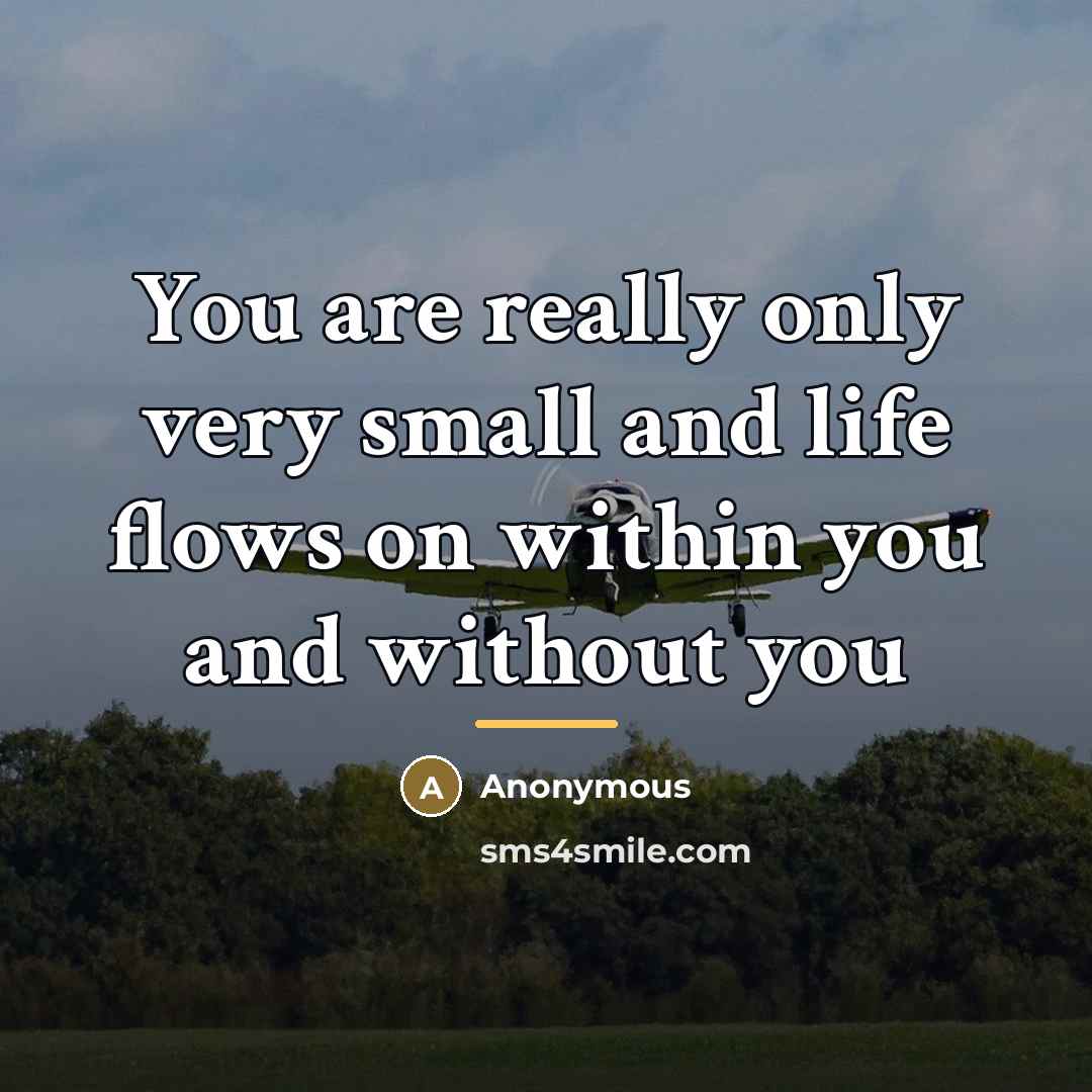 “You are really only very small and life flows on…” quote by Anonymous
