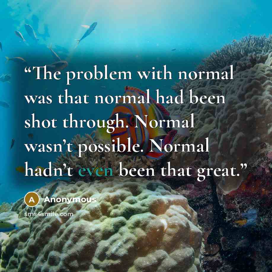 “The problem with normal was that normal had been shot through. Normal wasn’t possible. Normal hadn’t even been that great.” quote by Anonymous