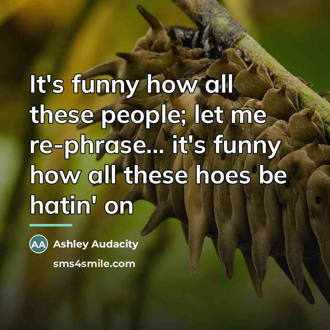 “It's funny how all these people; let me re-phrase... it's…” quote by Ashley Audacity