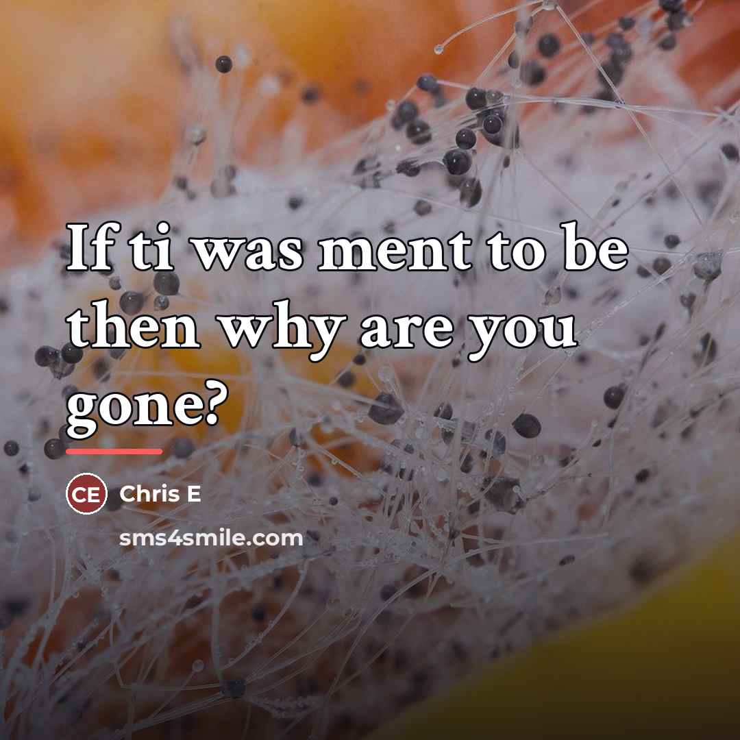 “If ti was ment to be then why are you…” quote by Chris E