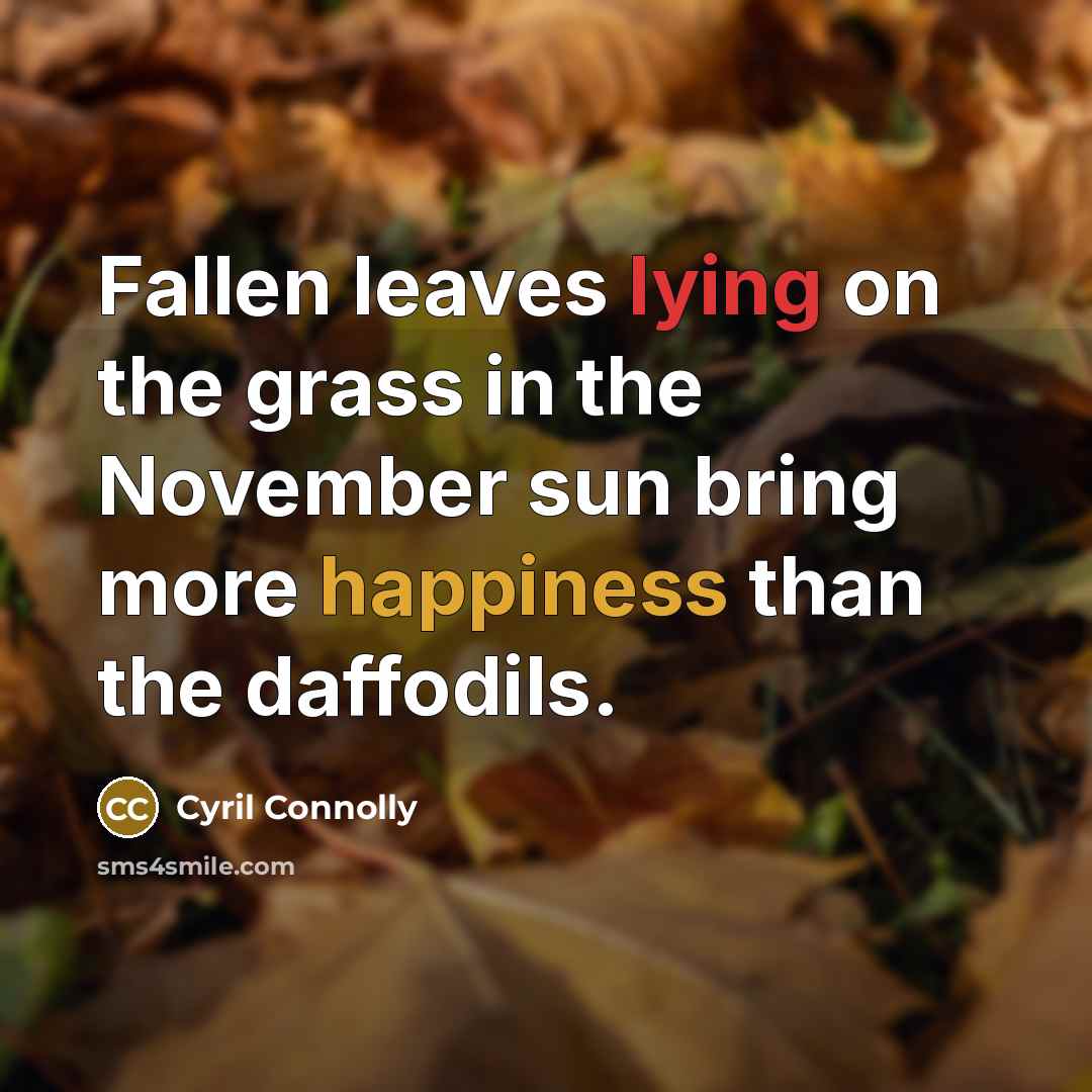 “Fallen leaves lying on the grass in the November sun…” quote by Cyril Connolly