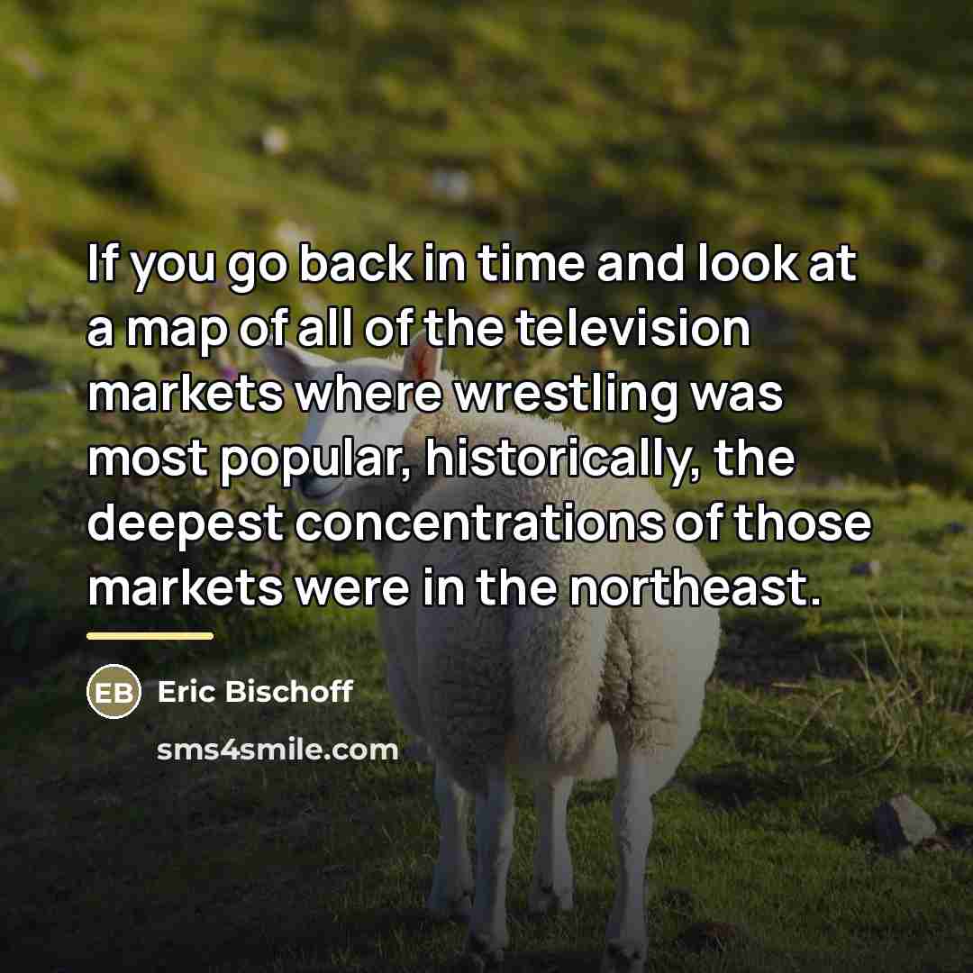 “If you go back in time and look at a…” quote by Eric Bischoff