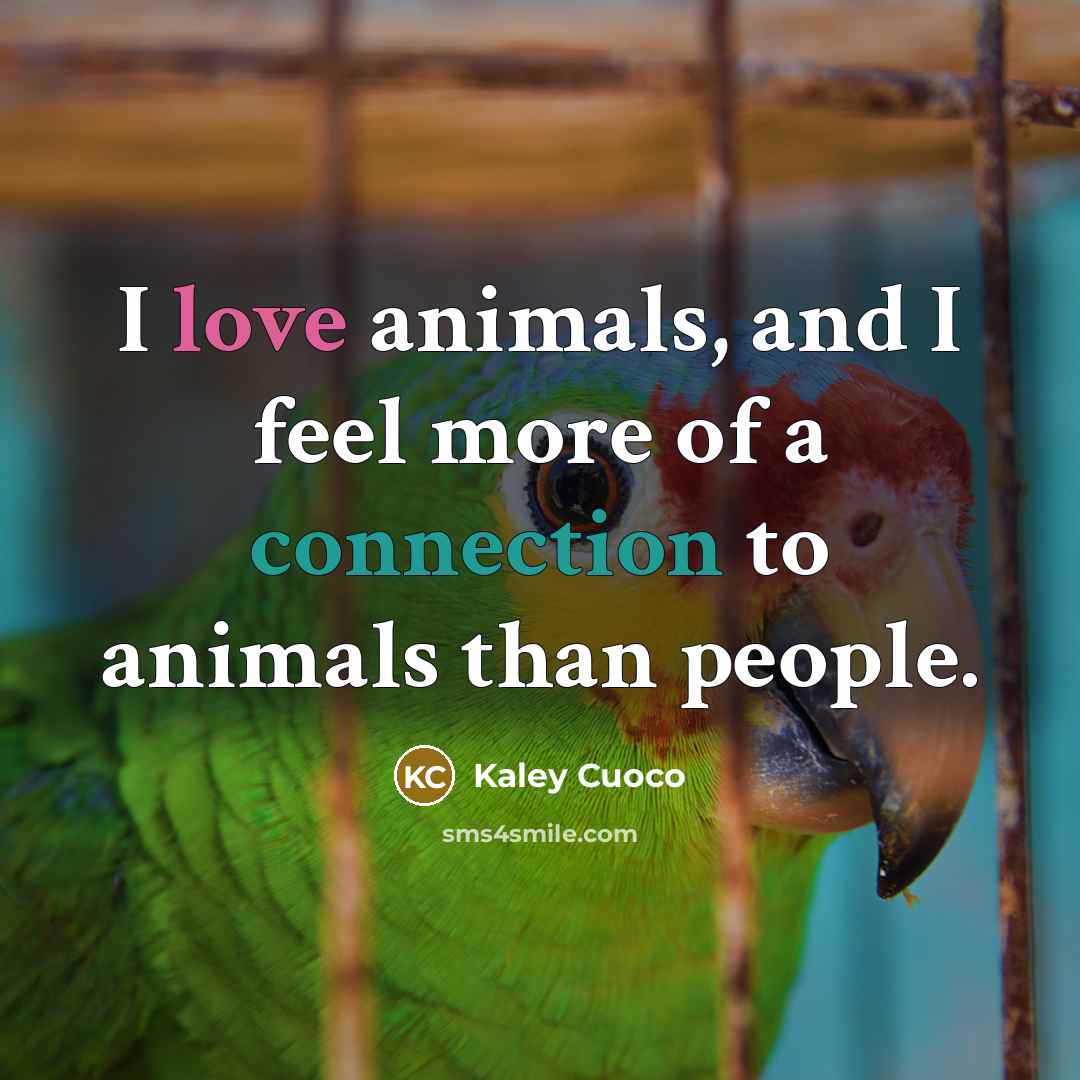 “I love animals, and I feel more of a connection to animals than people.” quote by Kaley Cuoco