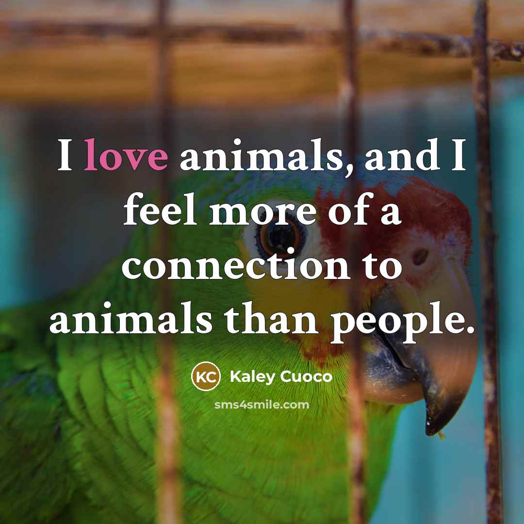 “I love animals, and I feel more of a connection…” quote by Kaley Cuoco