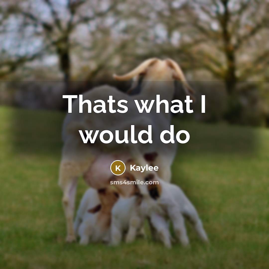 “Thats what I would do…” quote by Kaylee