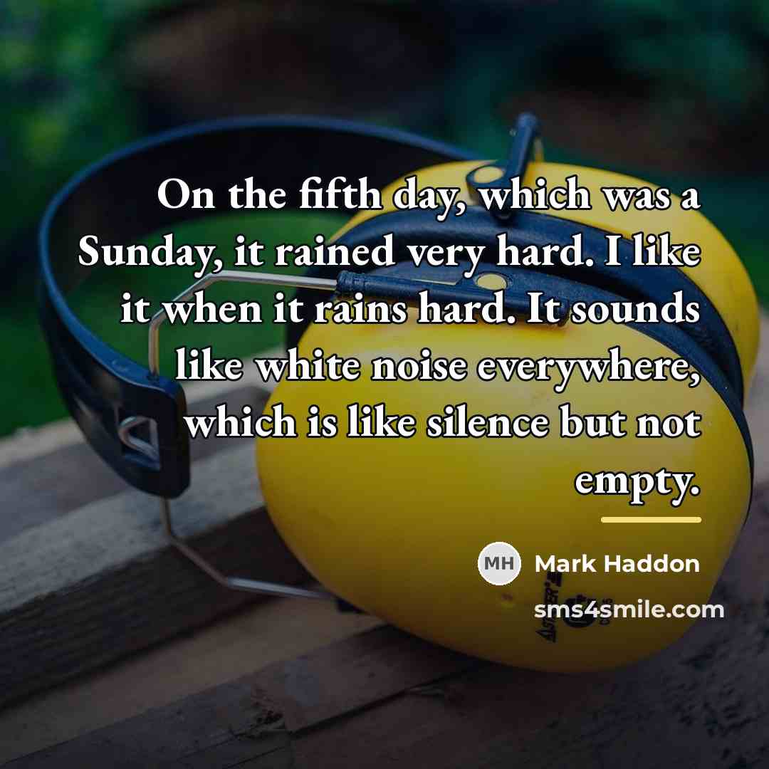 “On the fifth day, which was a Sunday, it rained…” quote by Mark Haddon
