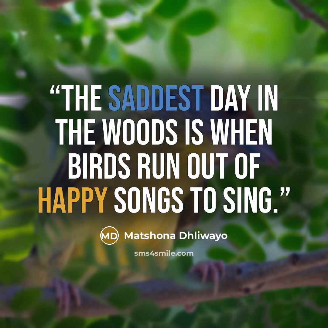 “The saddest day in the woods is when birds run out of happy songs to sing.” quote by Matshona Dhliwayo